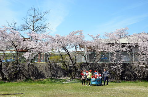 桜の咲く園外でのひととき