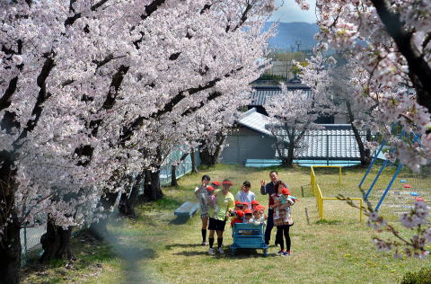 桜の下をおさんぽする子どもたち